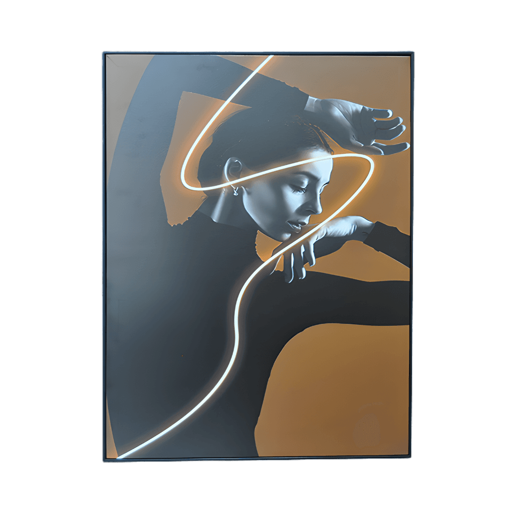 LUXURES ABSTRACT CANVAS ZY011 60X80