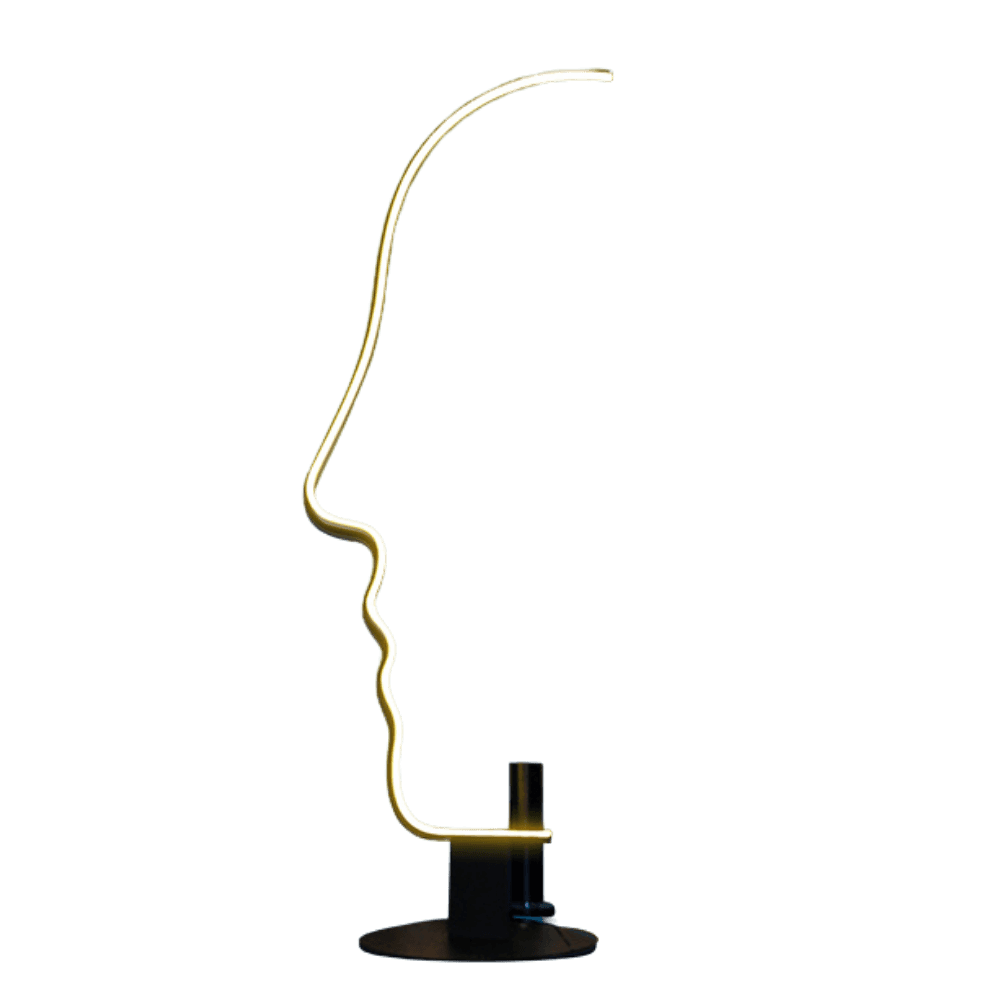 LUXURES NORDIC FLOOR LAMP QX006